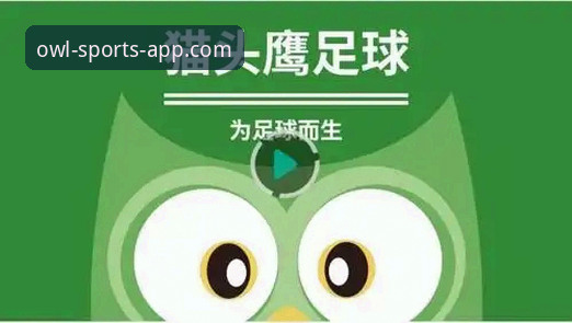 猫头鹰体育平台App安装与配置全面解析：从下载到实战的必备教程